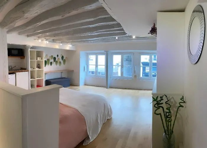 Beau Studio Gare De Lyon